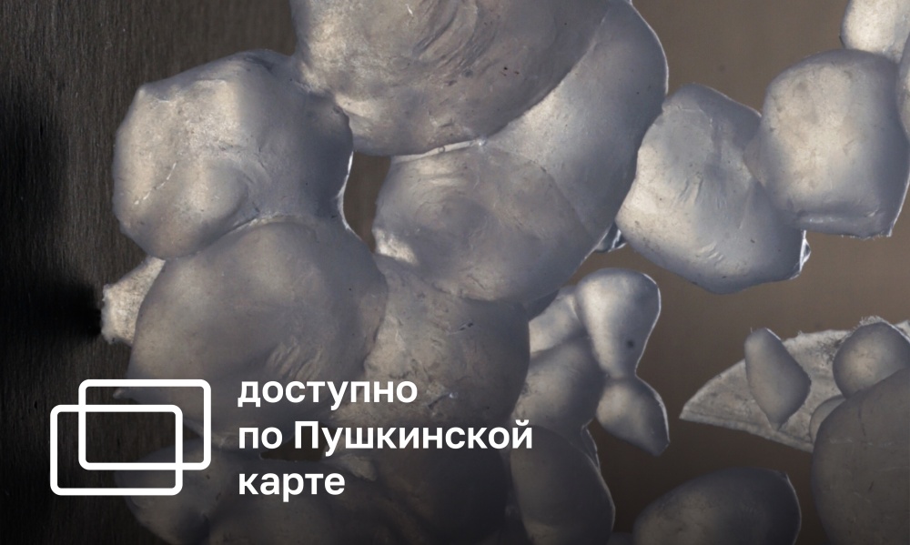 ПОЛЕ ЗРЕНИЯ