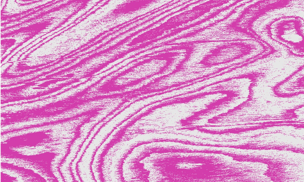 «ДЕРЕВЯННЫЙ КОД РОССИИ»: ИТОГИ КОНКУРСА