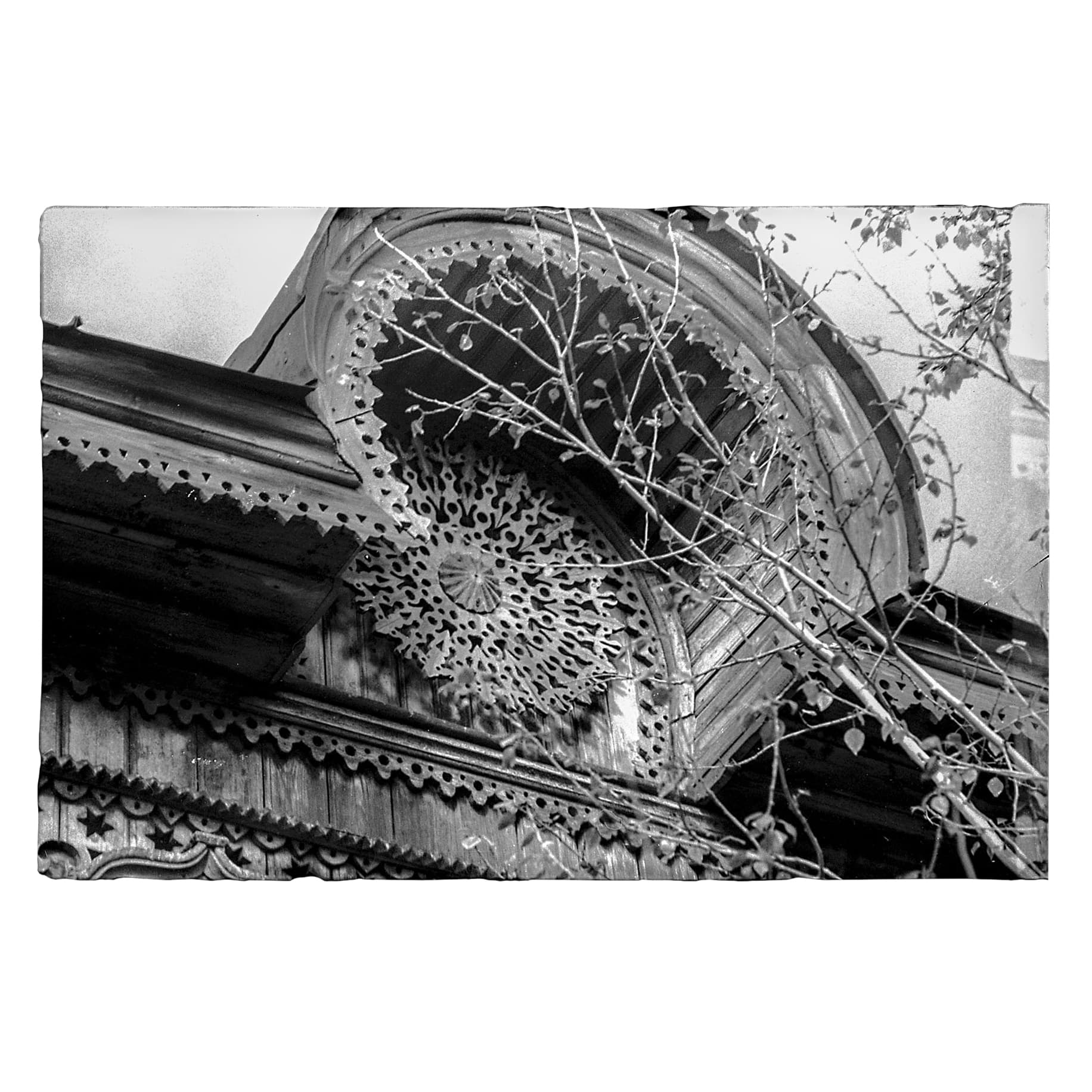 Manuscripts and scientific documentation 